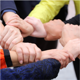 滾筒壓機-順益體系（集團）專用潤滑脂