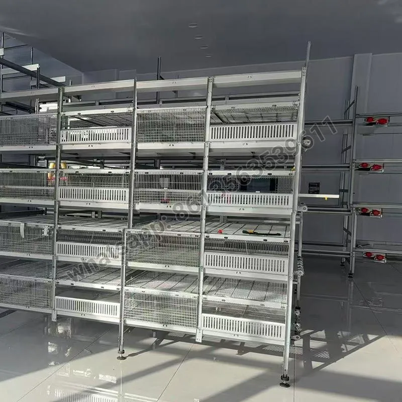 Полностью Автоматическая клетка для бройлеров типа H Полностью Автоматическая клетка для бройлеров типа H