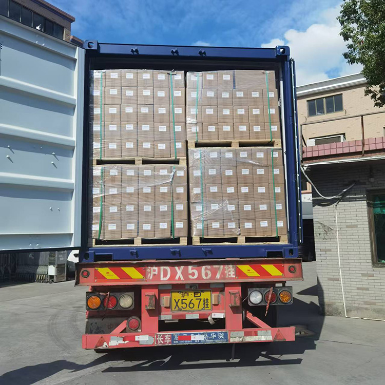 Shanghai Dongzhan Drive Industry Co., Ltd. Shanghai Dongzhan Drive Industry Co., Ltd.