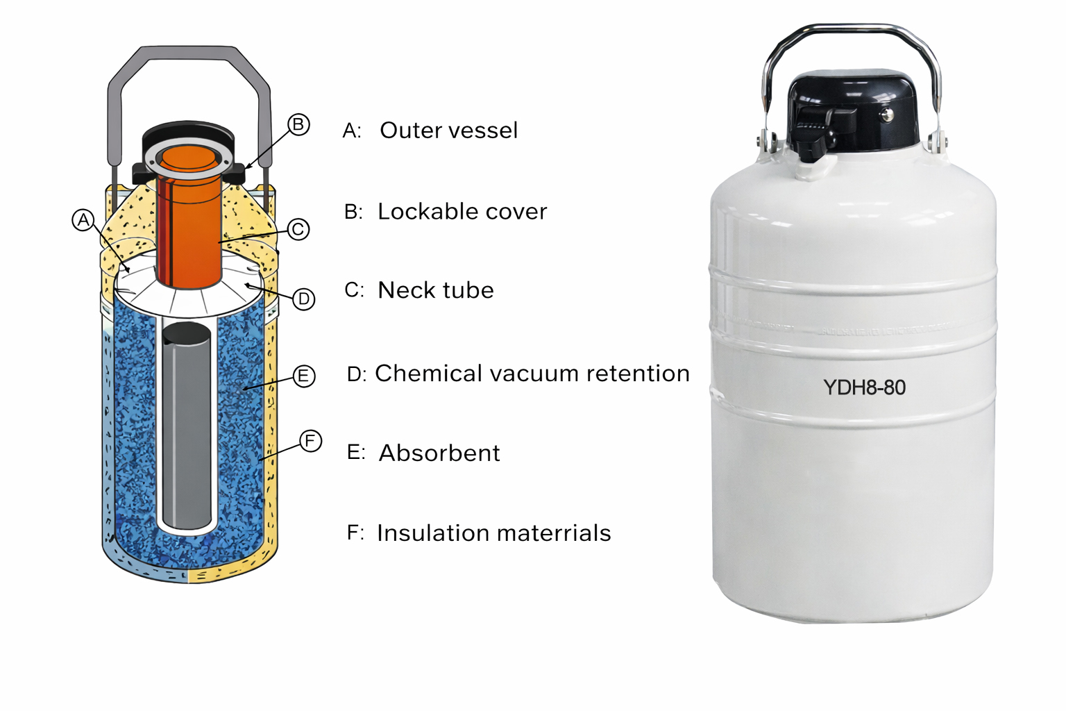 Conteneur de Transport à Azote Liquide