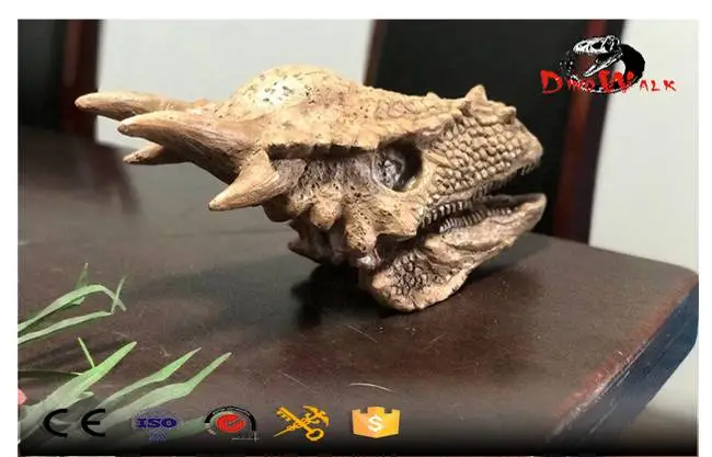 Dinosaur Fossil Head Replica Model Dinosaur Fossil Head Replica Model