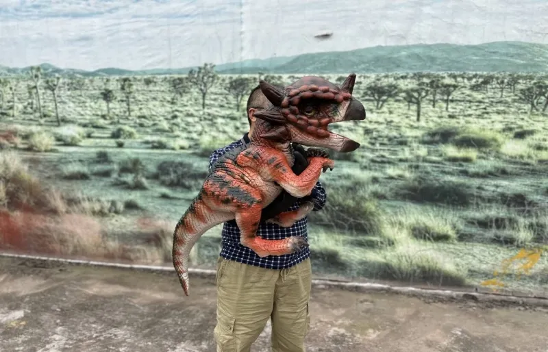 What are the differences between dinosaur hand puppets and dinosaur shoulder puppets?cid=4 What are the differences between dinosaur hand puppets and dinosaur shoulder puppets?cid=4