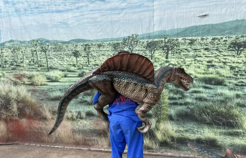 What are the differences between dinosaur hand puppets and dinosaur shoulder puppets?cid=4 What are the differences between dinosaur hand puppets and dinosaur shoulder puppets?cid=4