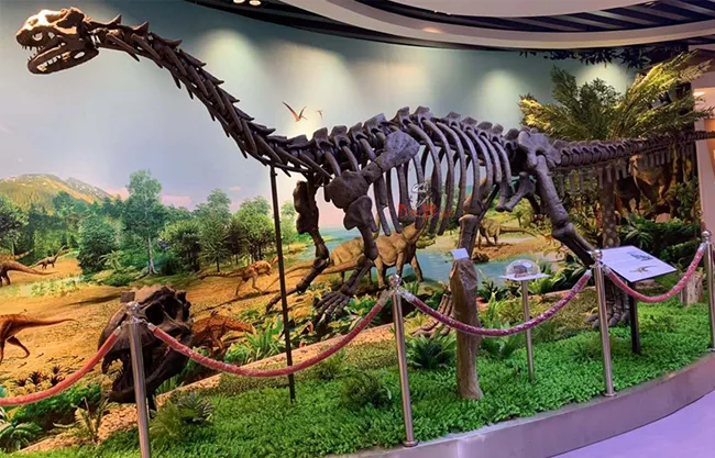 Dinosaur Fossil Replicate Dinosaur Fossil Replicate