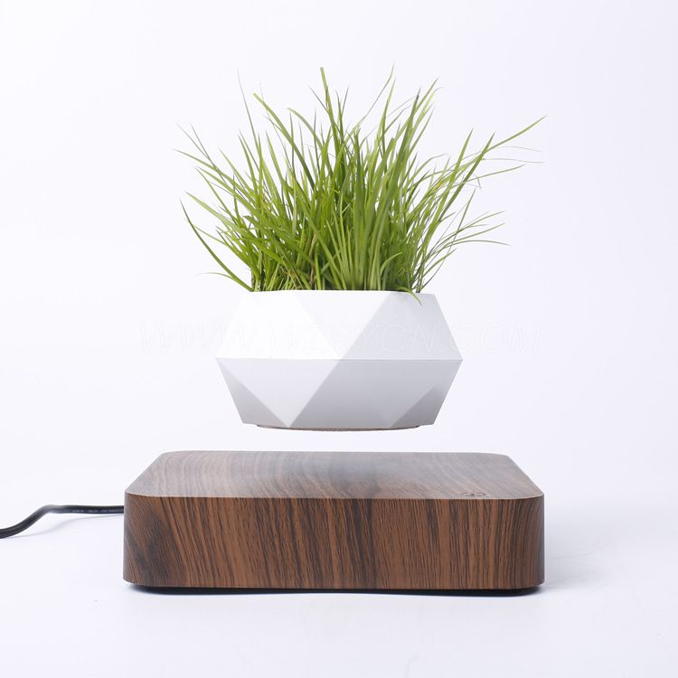Our company independently developed a magnetic levitation flowerpot, which has been recognized and loved by consumers