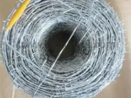 Everything You Need To Know About Hot Dipped Galvanized Barbed Wire