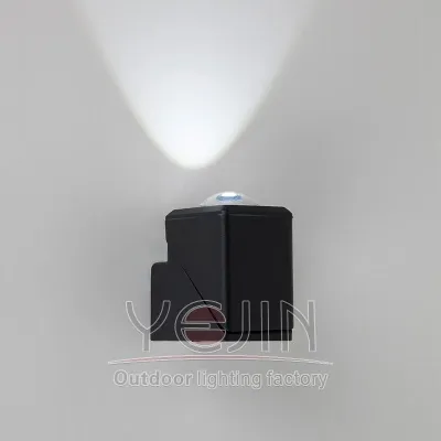 China Factory Wholesale COB Al Aluminum Lens Single Head Double Head Light YJ-3206 Swing light wall up lighting