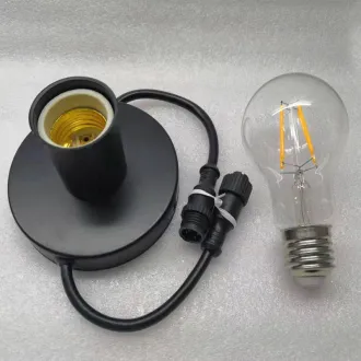 DMX Edison Bulb