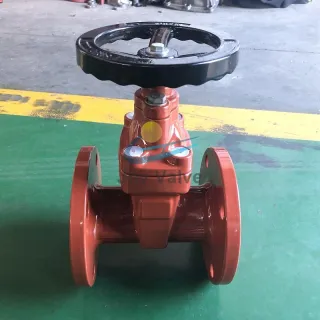 BS5163 Ductile Iron Resilient Seat Gate Valve For Drinking Water