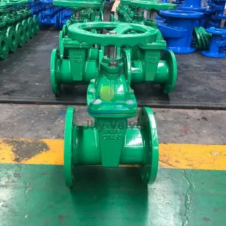 Good Quality BS5163 Ductile Iron Resilient Seat Gate Valve Largest China Manufacturer