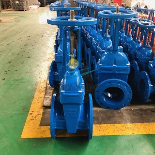 BS5163 Heavy Type Double Flange Rising Stem OS&Y Gate Valve