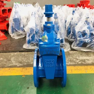 Underground Water Resilient Seat Heavy Gate Valve With Square Head