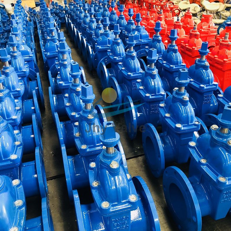 BS5163 British Standard Resilient Seat Gate Valve With Square Head