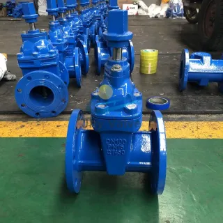 BS5163 Heavy Type Underground Resilient Seat Gate Valve With Cap Nut