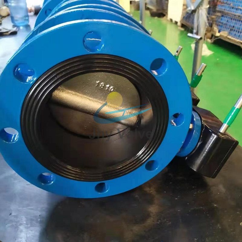 Ductile Iron Rubber Lined Double Flange Butterfly Valve