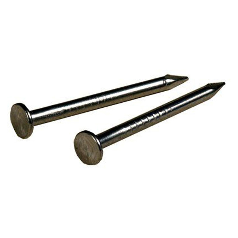 Common Wire Nails Polishied Common Nails