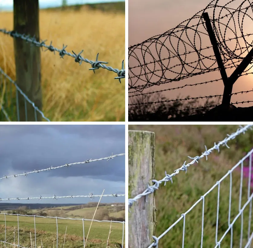 Barbed Wire