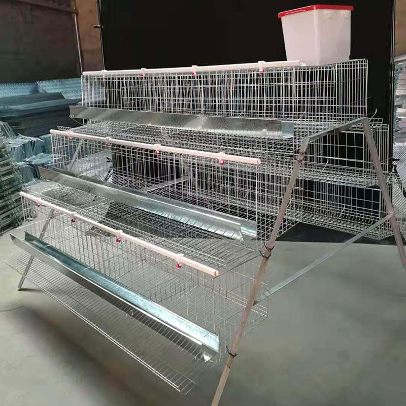 Cages en fil de poulet en couches