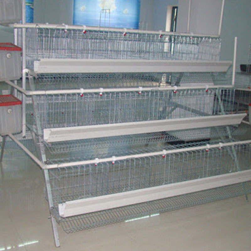 Cages en fil de poulet en couches