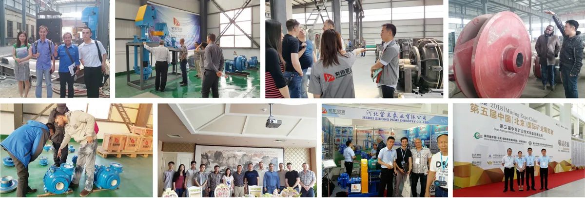 Client Visiting of Hebei Zidong Pump Industry Co., Ltd.