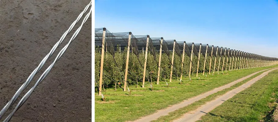 Our 1*2 Structure of Galvanized Steel Wire Strand is used in Agriculture widely
