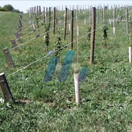 Low Cabon Galvanized Steel Wire for Vineyard
