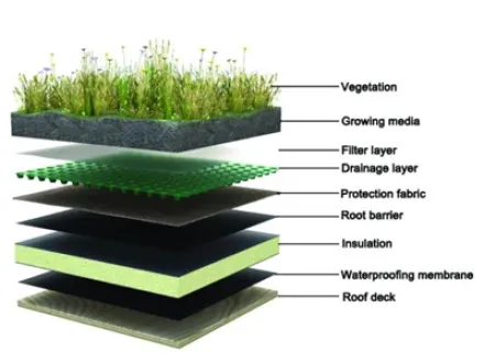 Ứng dụng của Ban Thoát nước Dimple trong việc phủ xanh mái nhà