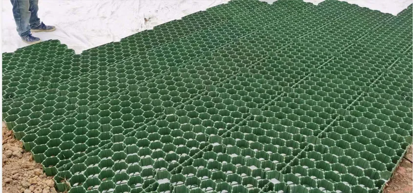 Flat Type PP/HDPE Plastic Grass Grid Paver for Driveway and Parking Lot