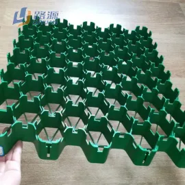 Wave Type PP/HDPE Plastic Grass Grid Grass Paver for Driveway and Parking Lot