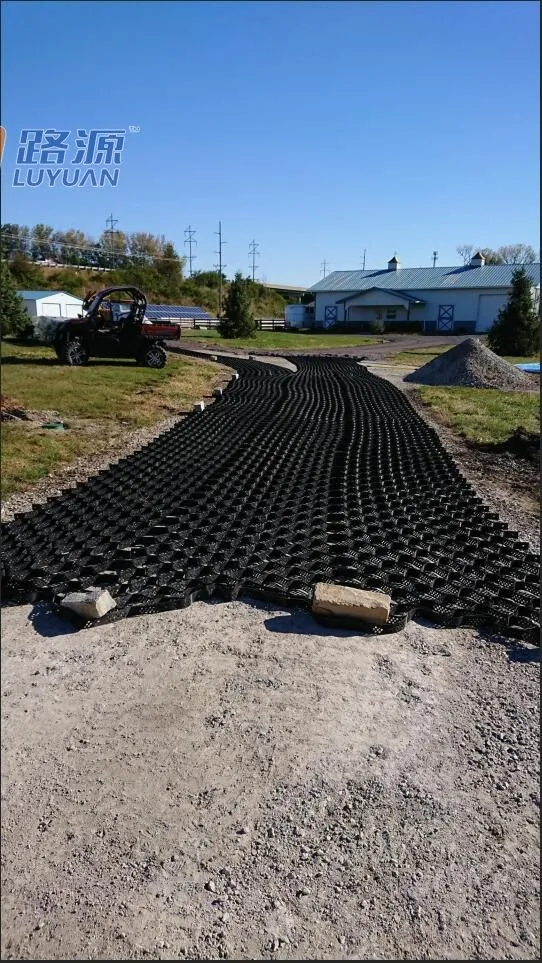Surface of HDPE geocell for driveway