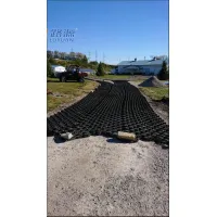 50mm 75mm 100mm height HDPE geocell for driveway