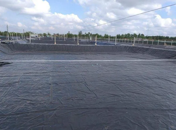 Geomembrane For Fish Pond Liner
