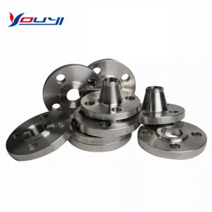 GB Stainless Steel Flanges