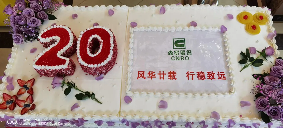 Elegancia 20 años de alcance estable, El vigésimo aniversario de CNRO se celebró grandiosamente