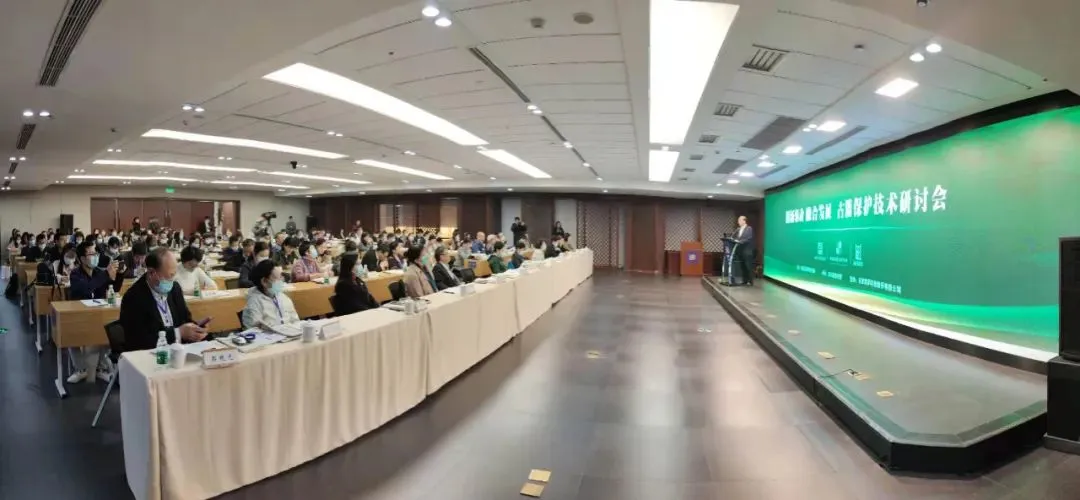 Das Seminar über alte Buchschutztechnologien fand in der Provinzbibliothek von Sichuan statt