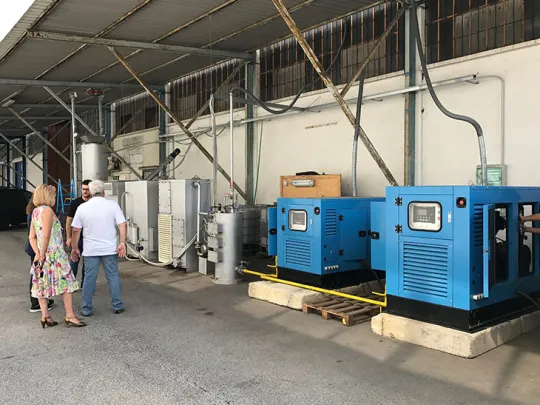 Gazéification de la biomasse à Venise pour la production d'électricité