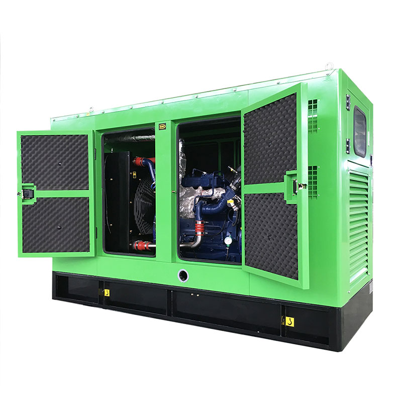 Generator biogas store