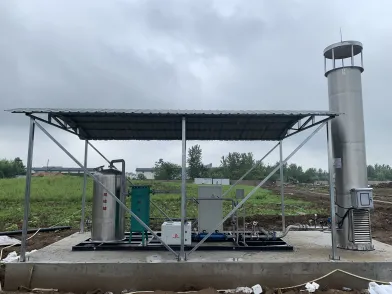  200Nm3/h skid type biogas desulphurized system in Hubei,China
