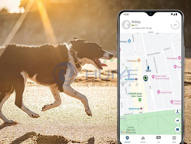 gps pet tracker on a dog