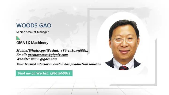 GIAG LX Pay 7,000 US dollars to provide our client one-on-one project feasibility consulting service