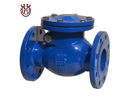 What are the Main Points of the Check Valve?