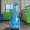 Huahui Gate Valve|Resilient seated gate valve RSGV with bypass 