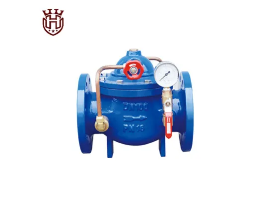 What is the Process Design of the Check Valve?