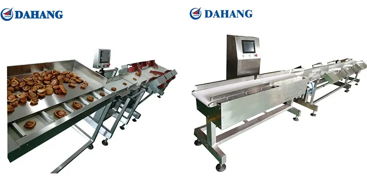 Automatic weight sorting solutions for fishery & seafood