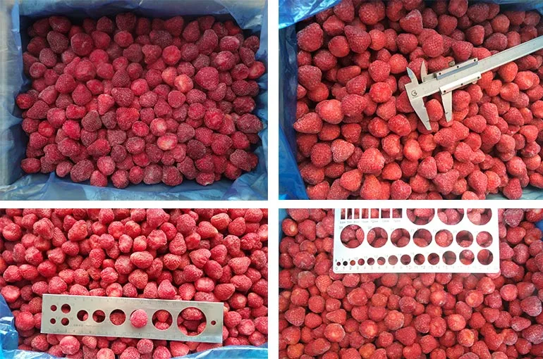 Vente de fraises congelées en Chine