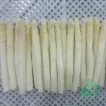 Frozen White Asparagus spears whole