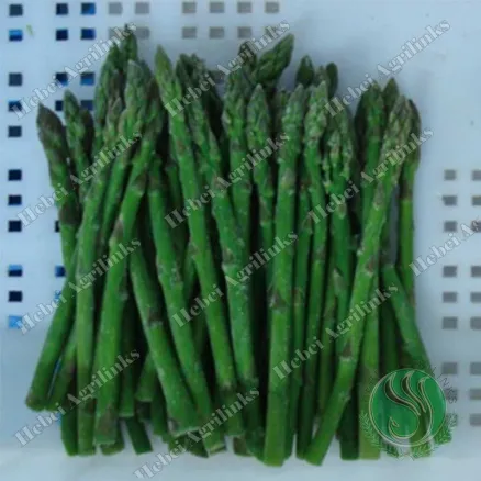 IQF Green Asparagus Spears