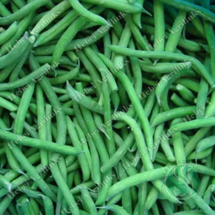 Frozen Green bean whole spears