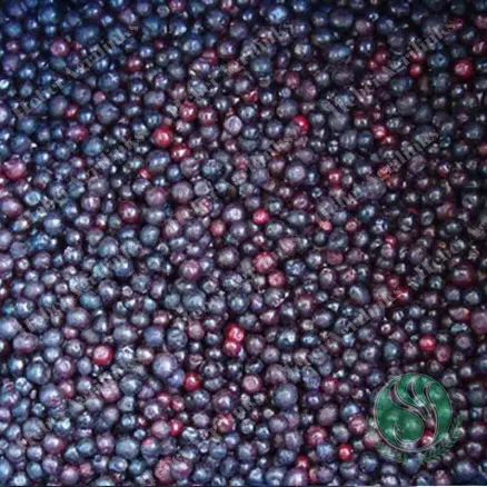 Frozen Blueberry