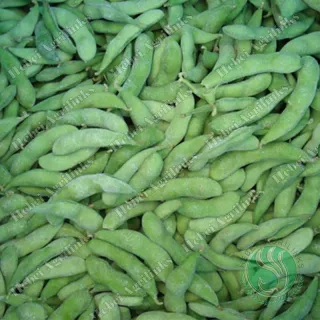 Fèves de soja vertes surgelées
